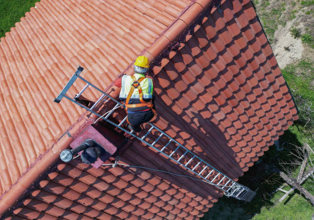 Best Asphalt Shingle Roofing  in Charlotte, TX